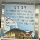 용세프민물나라