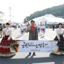 금산인삼 이미지