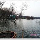 용성좌대 이미지