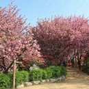 완산-22 이미지