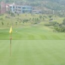 소피아그린 이미지