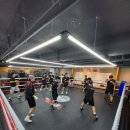 사우프라자약국 | 김포 복싱 초보도 환영! 북변동·걸포동 복싱 가까운 김포GO복싱 사우점에서 시작하세요