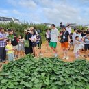 소나무향기 이미지