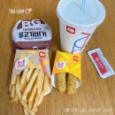 쌍둥 카센터 | &lt;36주~37주&gt; 둥이만나는 날 D-DAY 시작+내진