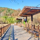 생태연못 이미지