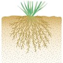 밸런스(Balance) 이미지