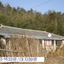 꿈꾸는바다민박 Daum카페