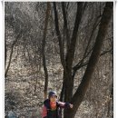 충주호 종댕이 이미지