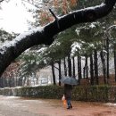 석천공원 이미지