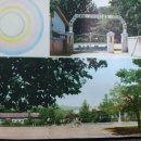 하동중학교 | 하동중학교(하동)21 회