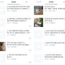 당근약국 이미지