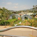 서화테니스장 이미지