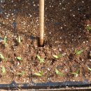 서원농장 이미지