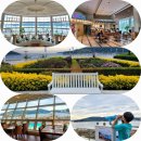 돌체노래연습장 | 소노캄 거제 조식 뷔페 셰프스키친 할인 이용후기 부대시설