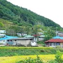 천천면광산마을 이미지