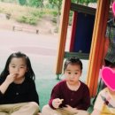 원흥사금강유치원