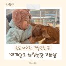 [대구근교/청도] 아이랑 가볼만한 곳 “아기염소 체험농장 고트힐” 상세정보 및 이용후기