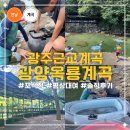 백운산민박 | 광주 근교 계곡 광양 옥룡계곡 평상 대여 후기 주차 취사 준비물