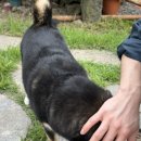 베어포레스트 스테이 이미지