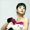 프린세스애견 이미지