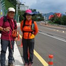 남해군 수협회센타횟집 이미지