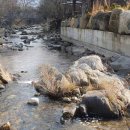 백운면 2139 이미지