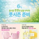 반디인하우스잠실소피텔점 | [공지] 반디인하우스 잠실소피텔점 2026년 6월 이벤트