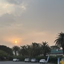 저지오름 | 제주 3일차 - 다나요가, 베메로, 제주고로, 저지오름, 책방 소리소문, 크도, 탱글, 미영이네