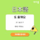 원어민 일본어 여행회화 이미지