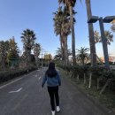 삼강약국 이미지