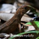 (주)레몬12 이미지