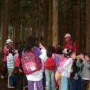 삼양초등학교 이미지