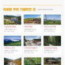 구례산수유