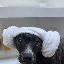 늘봄아로마테라피 이미지