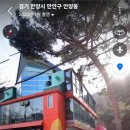 위드독(with dog) 이미지