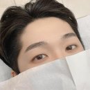 헤일로디자인