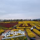 서산 국화축제, 아산 곡교천 은행나무길(2023.11.4~ 11.6) 이미지