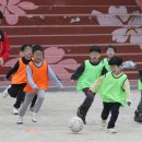 (주)더늘봄 이미지