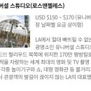 (주)유니버셜투어 이미지