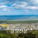 한일다실