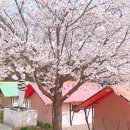영암프리미엄키즈글램핑 이미지