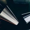 Dear My Blank 이미지