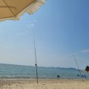 써 비어 이미지