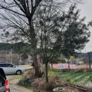 초연식당 이미지