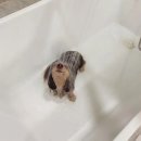 앤앤지(주) | 2025 라이즈 단독콘서트 RIIZING LOUD in SEOUL Day 2 _ 중콘 후기 (앤톤 없는 우블 S4로 가보았다..과연?)