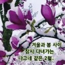 명심보감 이미지