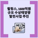 태영태양광발전소 이미지