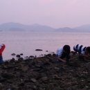 밀물농장 이미지