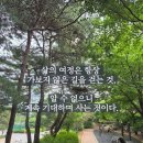 부끄럽지 않은 길 이미지
