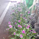 남북의료기 이미지